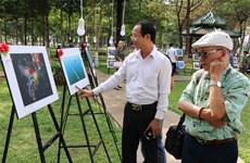 越南南中部和西原地区艺术图片节在嘉莱省举行