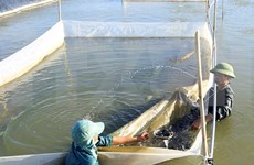 中部四省渔业后勤服务和水产资源项目使用Formosa的补偿金