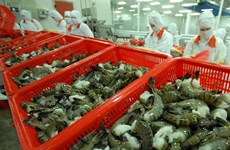 出口美国的31个越南虾类企业享受零关税待遇