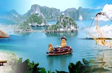  为助推越南旅游业发展建言献策