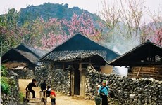 同文岩石高原全球地质公园--河江省旅游发展的催化剂