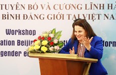 越南妇女的地位日益得到提升