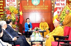 阮氏金银主席：越南佛教协会已成功举办2019年联合国卫塞节