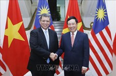 越南政府副总理兼外长范平明与马来西亚外交部长赛夫丁举行会谈