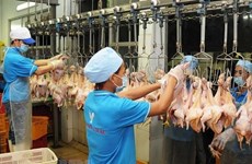 CP公司将向国外出口禽肉类产品