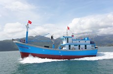 越南坚江省坚决不让未经登记渔船出海捕捞