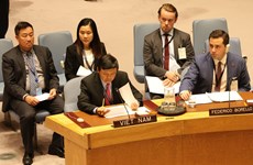 越南承诺对武装冲突中平民保护问题做出贡献