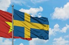 越南政府总理对瑞典进行正式访问：进一步加深越瑞传统友谊