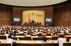 越南第十四届国会第七次会议公报（第十号）