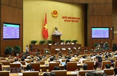 越南第十四届国会第七次会议公报（第11号）