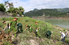 越南各地举行各类环保活动响应世界环境日