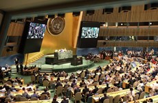 越南与联合国安理会：世界各国祝贺越南当选联合国安理会非常任理事国
