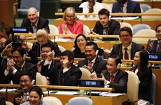 越南与联合国安理会：越南继续为世界和平、发展与繁荣作出更大的贡献
