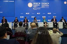2019年圣彼得堡国际经济论坛：越南代表出席欧亚经济联盟与东盟工商对话