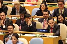 越南与联合国安理会：印度媒体期望越南为改变联合国安理会的动力做出贡献