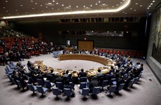 越南提出具体任务 担任好联合国安理会的新职务