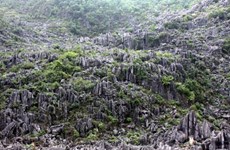 郑廷勇批准制定同文岩石高原全球地质公园总体规划调整方案