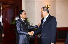 胡志明市与老挝首都万象促进全面合作