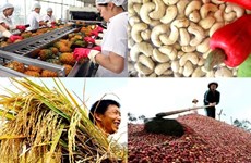  越南主要农产品已销往160个国家和地区