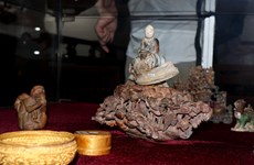 越南海域9艘古沉船文物展：越南文化的精髓