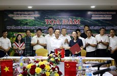 越南中国合作开发“两国六景点”旅游线路