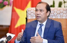 外交部副部长阮国勇就第34届东盟峰会取得的成果接受记者的采访