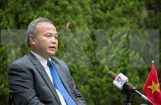 越南驻日本大使：越南将以特邀嘉宾身份积极参与G20峰会