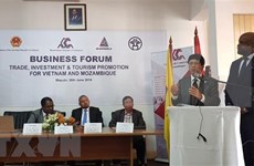 越南与莫桑比克促进贸易投资和旅游的合作