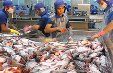 《越南与欧盟自由贸易协定》：越南渔业取得突破性发展的良机（四）