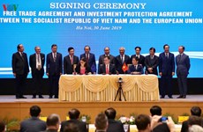 打开越南与欧盟的新合作阶段