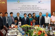 韩国助力越南改善稻米价值链   提高人民群众收入水平