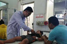2019年上半年越南全国登革热病例达7.1万例左右