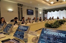 俄罗斯远东滨海边疆区对越南乃至亚洲地区敞开投资大门