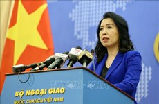 越南外交部发言人回答国内外记者关于东海最近情况的提问