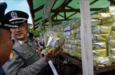 联合国毒品和犯罪问题办公室：东南亚有组织犯罪日益猖獗