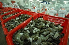 提高出口虾类的产量