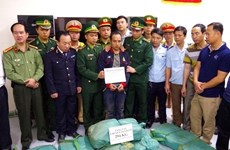 山罗省边防部队与老挝安全力量配合预防打击毒品罪犯