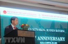 越南与马来西亚努力向双边贸易额150亿美元的目标迈进