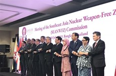 越南出席东南亚无核武器区条约委员会会议
