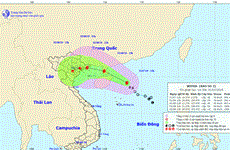 越南交通运输部下发通知要求有效应对第三号台风“韦帕”