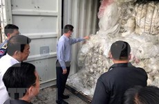 柬埔寨一家进口“洋垃圾”的公司被罚逾25万美元