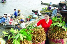 中国是越南农产品最大出口市场