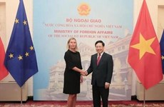 越南政府副总理兼外长范平明与欧洲委员会副主席举行会谈 