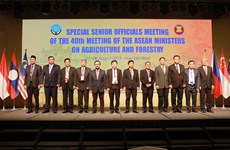 东盟农业和林业高官会议在承天顺化省开幕
