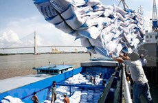 越南前7月大米出口量超过400万吨