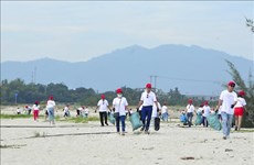岘港市：800余名志愿者参与海洋垃圾清理活动
