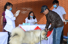 年初至今越南狂犬病死亡病例46例
