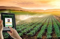 在农业发展中加强科技应用