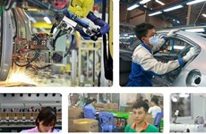 越南企业迎来德国市场的经营合作大机会 