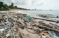 泰国消费者减少15亿个塑料袋的使用